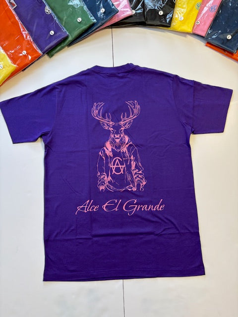 T-Shirt: Purple/Pink Logo Print
