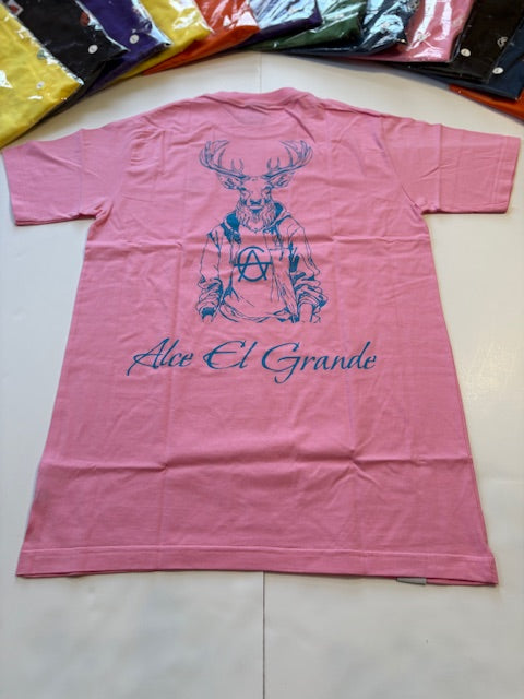 T-Shirt: Pink/SkyBlue Logo Print