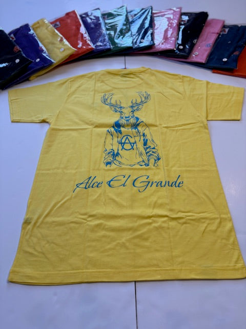 T-Shirt: Yellow/SkyBlue Logo Print