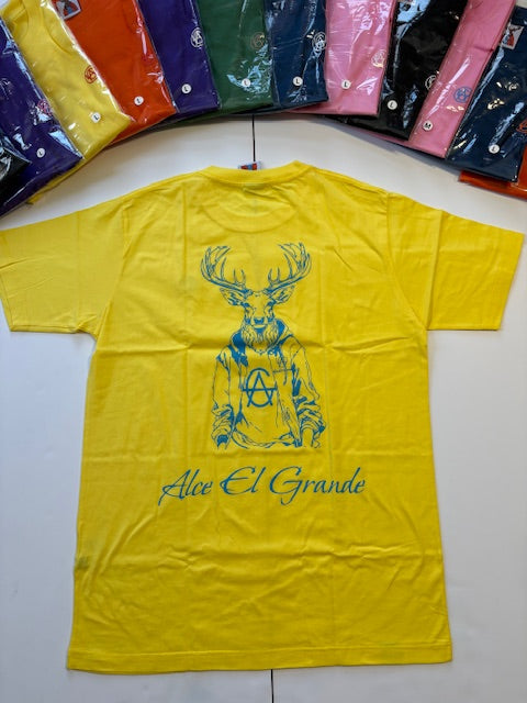 T-Shirt: Yellow/SkyBlue Logo Print