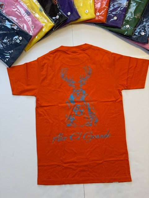 T-Shirt: Orange/SkyBlue Logo Print