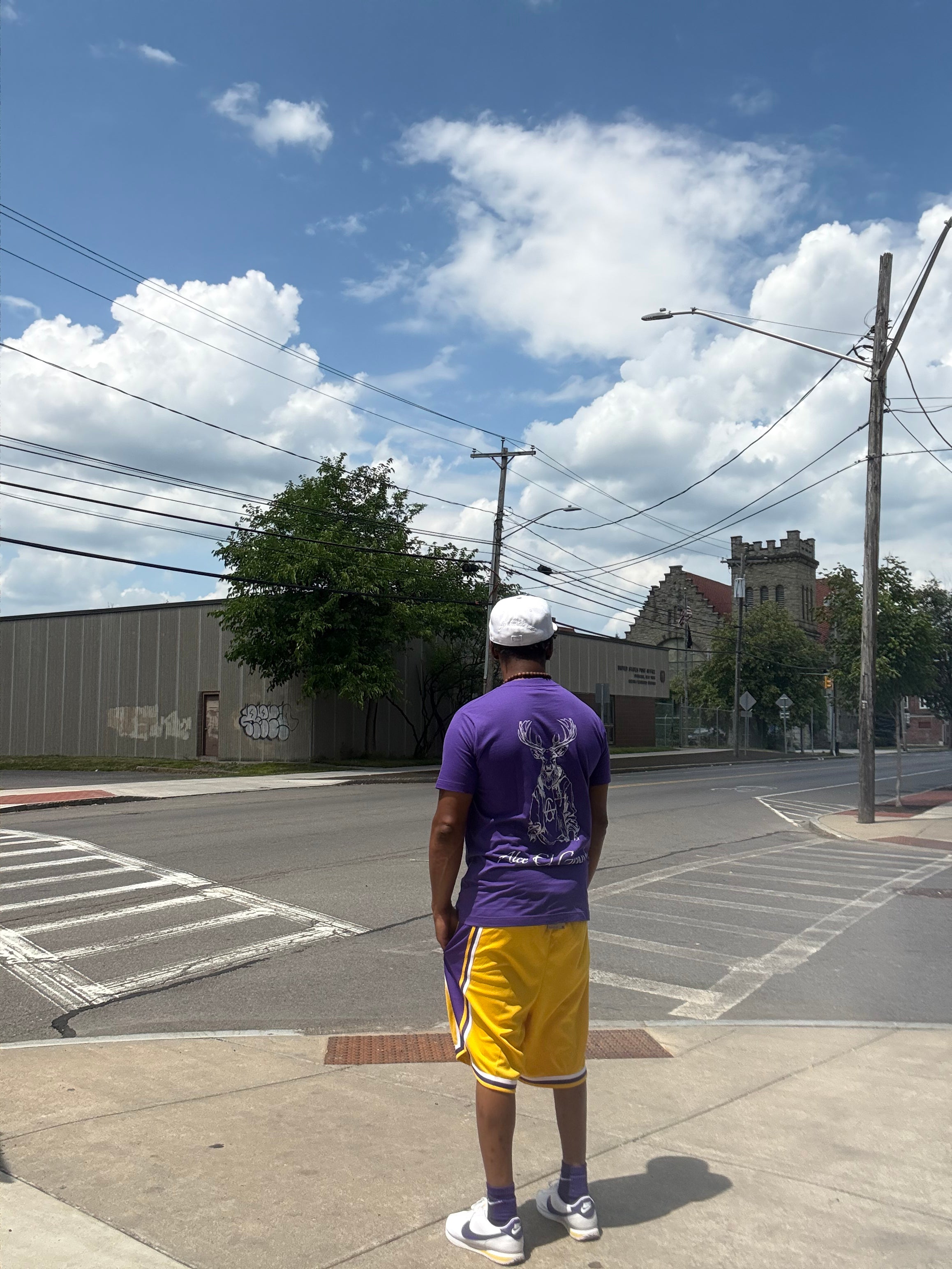 T-Shirt: Purple/White Logo Print