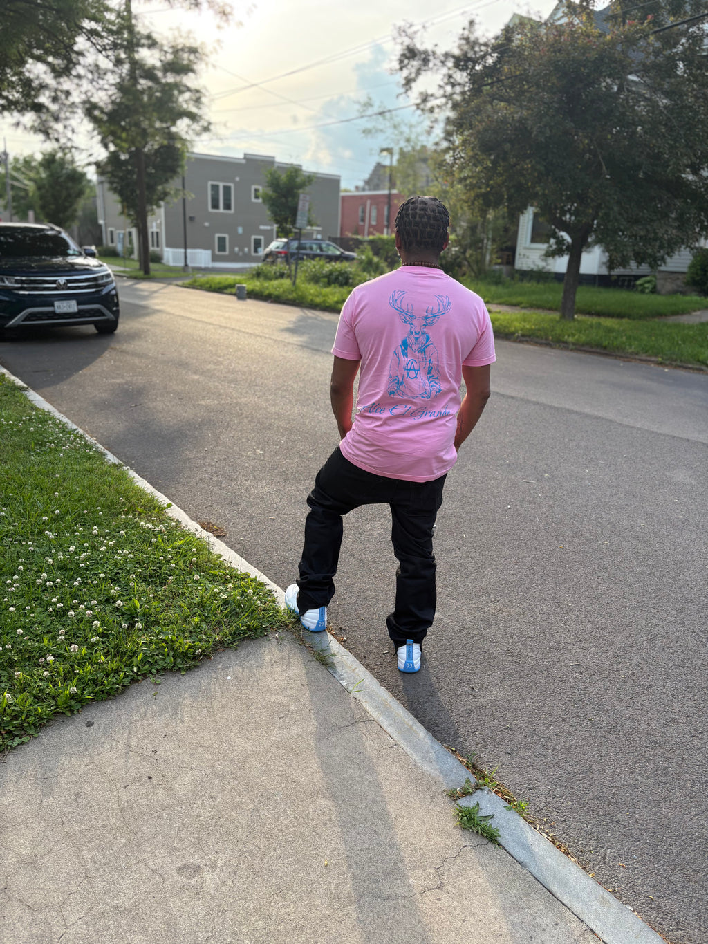 T-Shirt: Pink/SkyBlue Logo Print