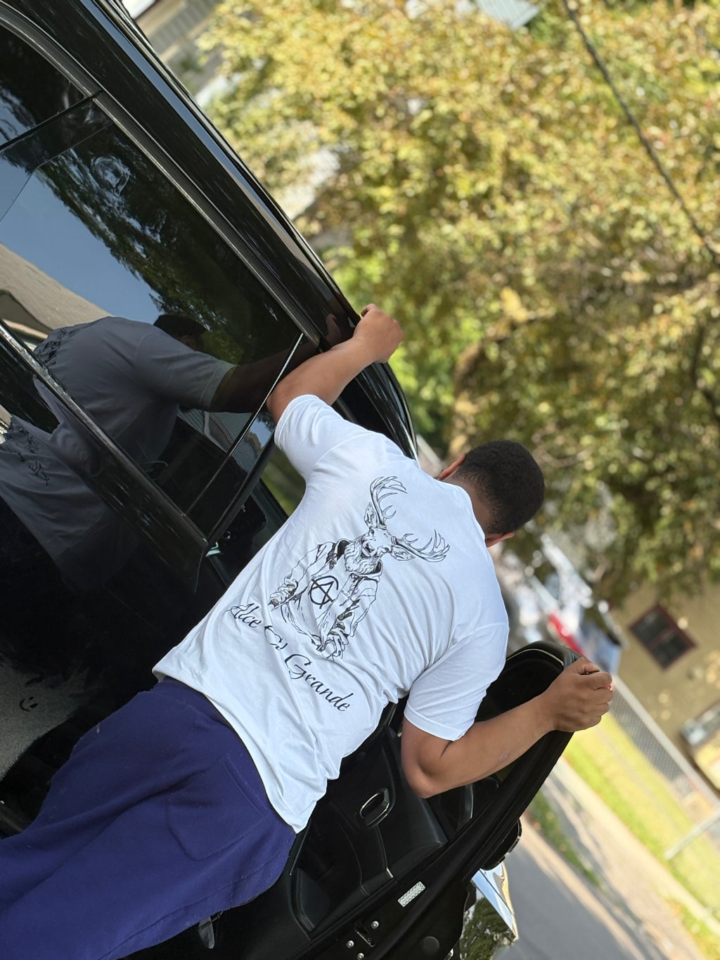 T-Shirt: White/Black Logo Print