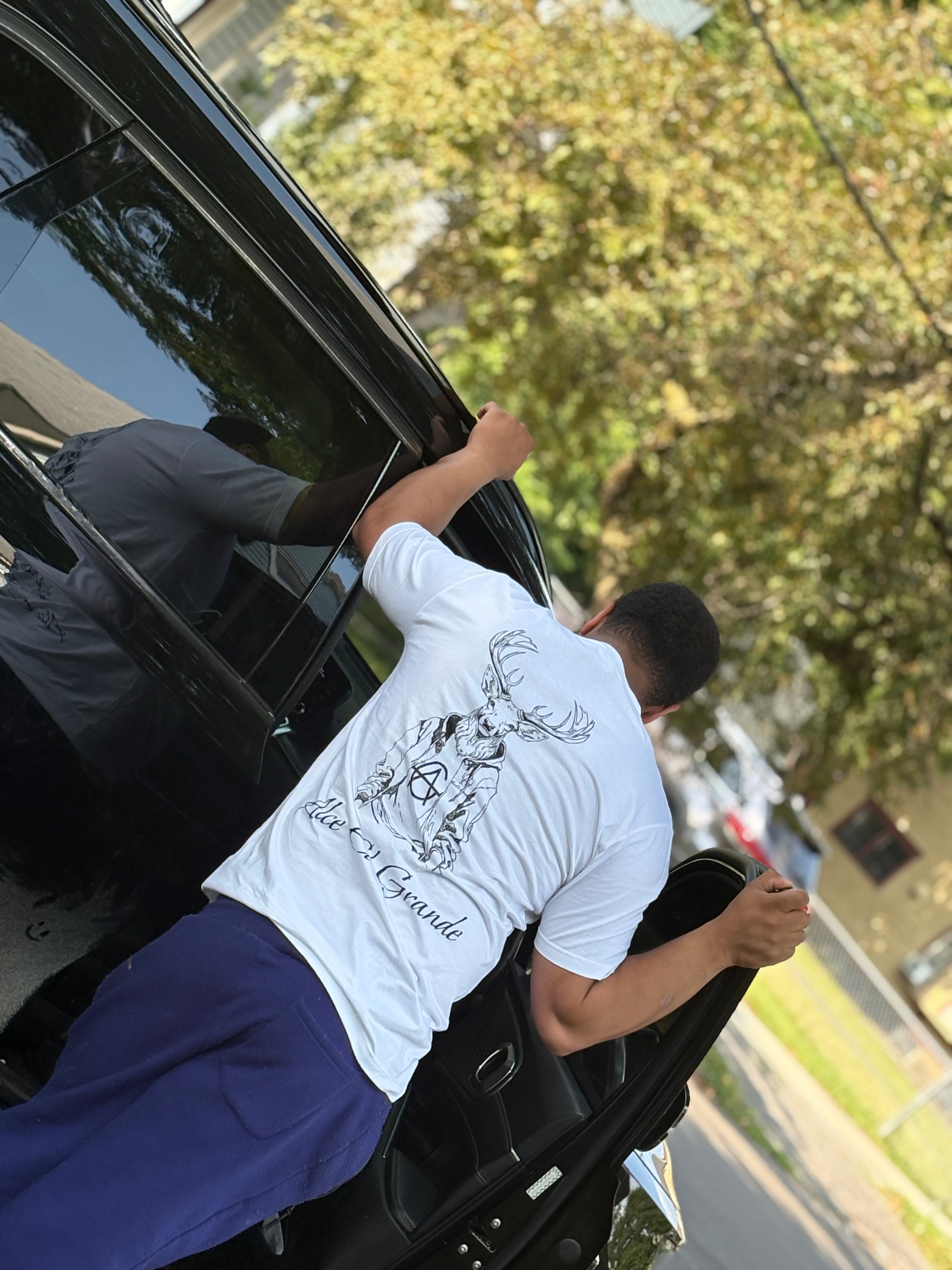 T-Shirt: White/Black Logo Print