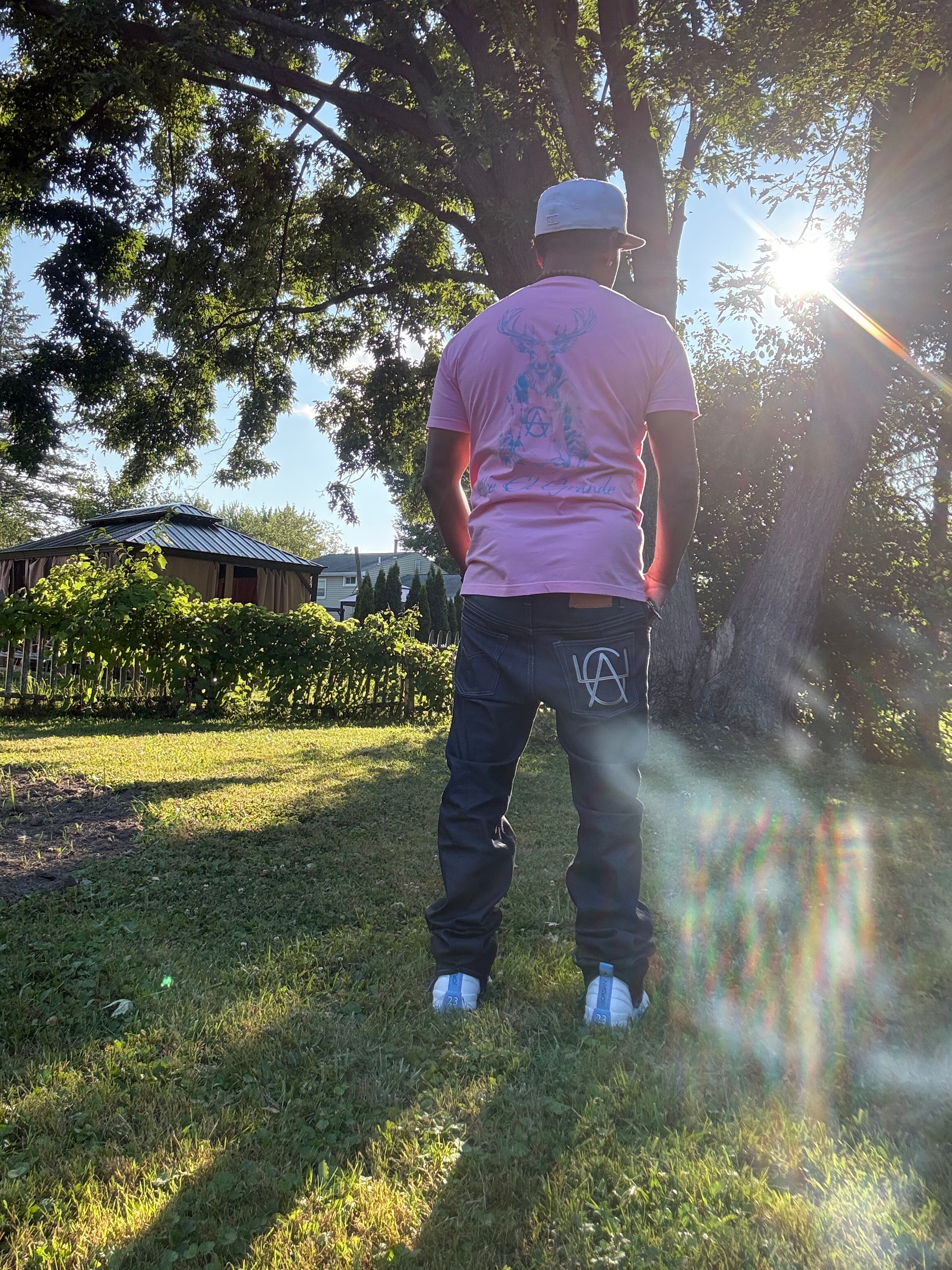 T-Shirt: Pink/SkyBlue Logo Print